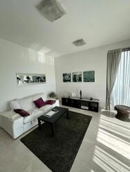 Shelford Suites (D11), Condominium #431293271